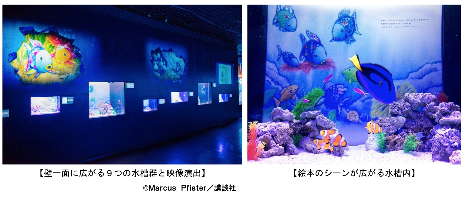 アクアパーク品川 壁一面の水槽群に 世界で大人気の 絵本の世界 を再現 にじいろのさかな展 読む水槽 ２０１７年１０月７日 土 ２０１７年１２月２５日 月 株式会社 横浜八景島のプレスリリース