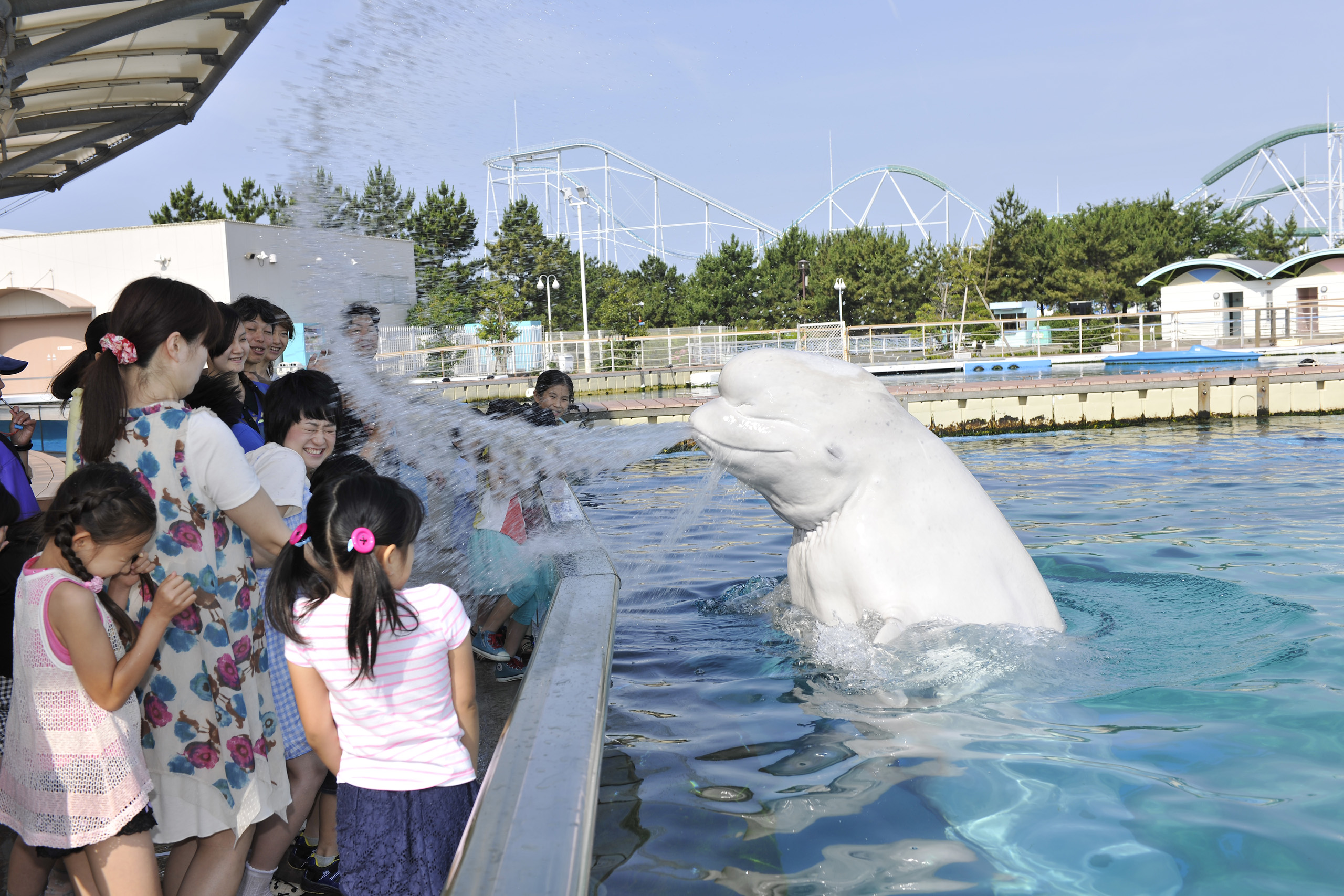 横浜 八景島シーパラダイス シーパラの夏イベント ２０１８年７月１２日 木 ９月２日 日 株式会社 横浜八景島のプレスリリース