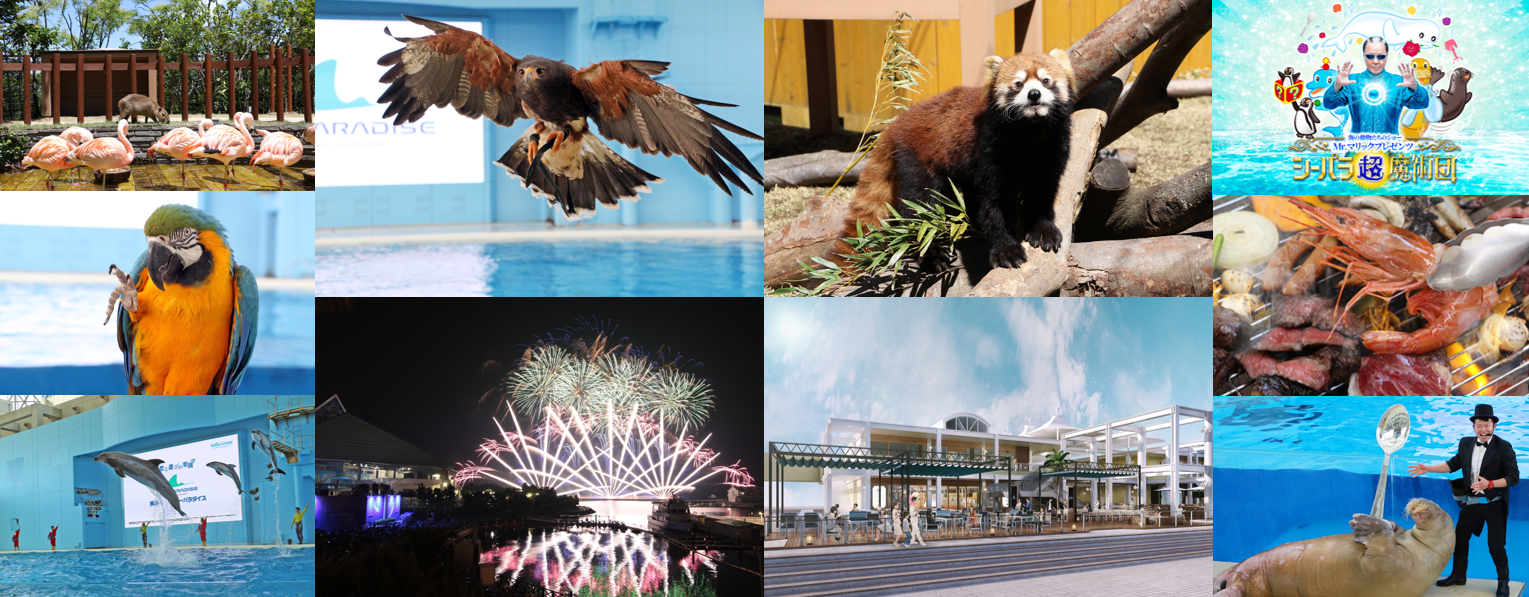 横浜 八景島シーパラダイス 10連休を満喫するイベント満載 シーパラのgwイベント 2019年4月27日 土 5月6日 月 振休 株式会社 横浜八景島のプレスリリース 横浜 八景島シーパラダイス 10連休を満喫するイベント満載 シーパラのgwイベント 2019年4月27日 土 5月6日 月 振休 株式会社 横浜八景島のプレスリリース
