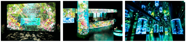 マクセル アクアパーク品川 Flower Aquarium Directed By Nakedーbrand New Sea ２０１９年４月２７日 土 ２０１９年７月７日 日 株式会社 横浜八景島のプレスリリース