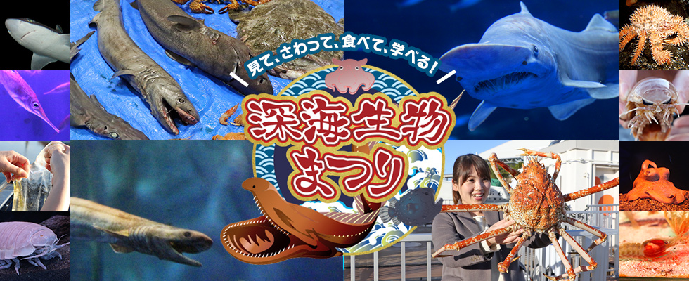 横浜 八景島シーパラダイス 見て さわって 食べて 学べる 深海生物まつり ２０２０年２月１日 土 ２０２０年４月５日 日 株式会社 横浜八景島のプレスリリース