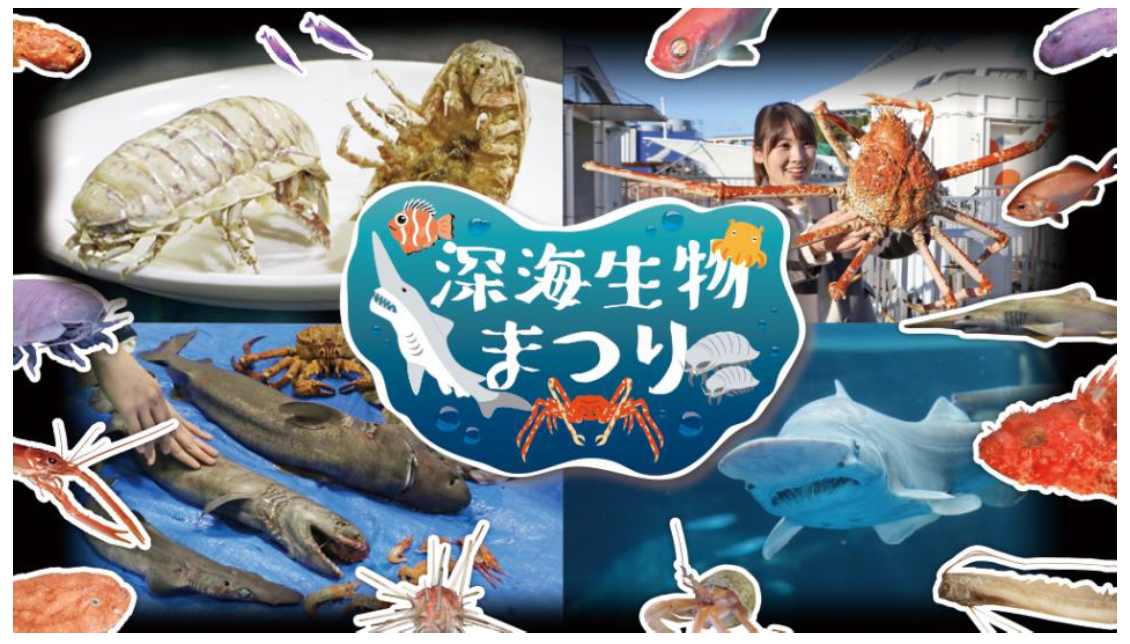 ひとはくblog 募集 アーカイブ