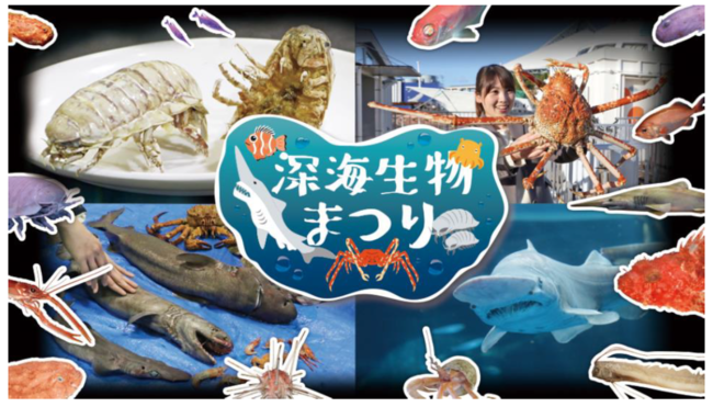 深海生物まつり