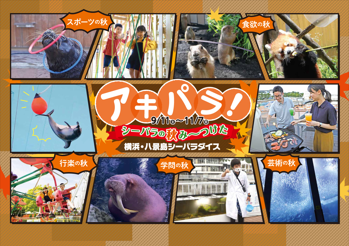 横浜 八景島シーパラダイス シーパラならではのさまざまな秋が盛りだくさん アキパラ ２０２１年９月１１日 土 １１月７日 日 株式会社 横浜 八景島のプレスリリース