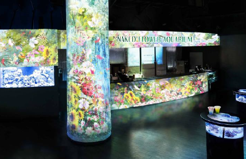 Floral Cafe Bar ※イメージ Floral Cafe Bar ※イメージ