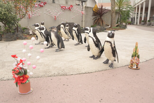 「ペンギンパレード」