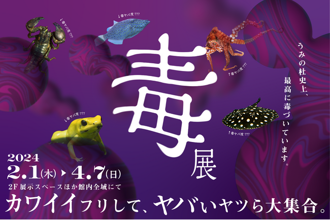 【仙台うみの杜水族館】カワイイのに最恐！？“毒”を持つ生きものたちから学ぶ生きる術『毒展』【２０２４年２月１日（木）～４月７日（日）】