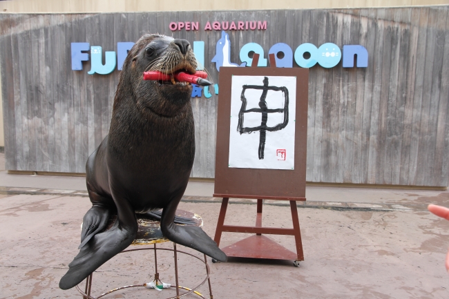 海の動物たちがお正月気分で大活躍 新春パラダイス １６ ２０１６年１月１日 金 祝 １月３１日 日 株式会社 横浜八景島のプレスリリース