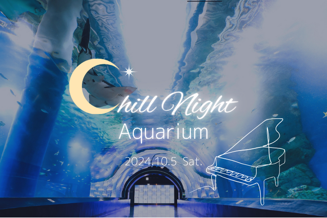 Chill Night Aquarium ※イメージ