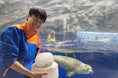 【上越市立水族博物館 うみがたり】「鏡開き給餌」開催【1月11日(土)~1月13日(月・祝)】