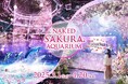 【マクセル アクアパーク品川】都市型水族館で桜が満開!アクアパークは一足早く開花宣言『NAKED SAKURA AQUARIUM』【2025年3月1日(土)~4月20日(日)】