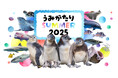 【上越市立水族博物館 うみがたり】体験を通じて生きものの魅力を発見!『うみがたりSUMMER2025』【2025年7月19日(土)~9月15日(月・祝)】