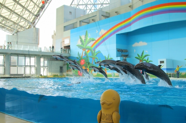 この春 海の動物たちのショー がリニューアル 海の動物たちのショー ｊｕｍｐ ｊｕｍｐ ｊｕｍｐ 株式会社 横浜八景島のプレスリリース