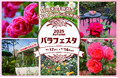 【西武園ゆうえんち】西武園ゆうえんち 昭和100年大祭典『秋のバラフェスタ』【2025年10月17日(金)~11月16日(日)開催】