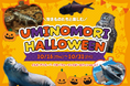 【仙台うみの杜水族館】生きものたちと一緒に楽しむハロウィン『UMINOMORI HALLOWEEN』【2025年10月16日(木)~10月31日(金)】