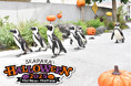 【横浜・八景島シーパラダイス】ハロウィンをテーマとしたイベントやフードをご用意!『SEAPARA HALLOWEEN 2025』【2025年10月18日(土)~10月31日(金)】