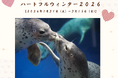 【上越市立水族博物館 うみがたり】ハートフルウィンター２０２６【２０２６年１月３１日（土）～３月１５日（日）】