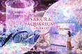 【マクセル アクアパーク品川】都市型水族館で一足早い“海の世界のお花見体験” さらに「ももいろクローバーZ」とのコラボコンテンツも同時開催！『SAKURA AQUARIUM by NAKED』