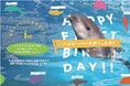 【仙台うみの杜水族館】うみの杜初のバンドウイルカの赤ちゃん、ついに１才！『エル HAPPY FIRST BIRTHDAY』【２０２６年５月１９日（火）～２０２６年６月２６日（金）】