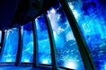【横浜・八景島シーパラダイス】大水槽のイワシの大群泳が魅せるパフォーマンスがリニューアル　イワシ５万尾の壮大な海中ドラマ　スーパーイワシイリュージョン～輝く群れの奇跡～