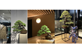 和の演出で差別化を図る、展示会向け高級盆栽レンタルサービス「BONSAI LUXE 展示会パッケージプラン」提供開始