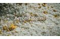 日本の盆栽文化を、世界で“当たり前に流通する産業”へ　検疫クリア型盆栽プロジェクト「Beyond Bonsai」始動