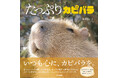カピバラ愛がみっちり詰まった、カピバラ写真集の決定版！『たっぷりカピバラ』新発売。