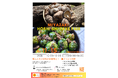 【宮崎県】「みやざき乾しいたけフェア」を開催します!