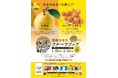 宮崎県が誇るブランド“完熟きんかん「たまたま」”＆“日向夏”！！今年も東京・大阪・福岡・宮崎エリアの飲食店でオリジナルメニューが楽しめる「宮崎ひなたフルーツフェア２０２６」を開催中！！