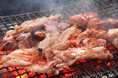 初の東北進出‼GWの5/3、盛岡大通に宮崎直送の絶品焼き鳥『とり家ゑび寿』オープン!記念の半額イベントも