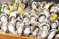 チャンスは6月30日まで!庄や「何個でも生牡蠣100円」6月23日で22万個超、1日あたり最大1万6000個爆売れで新記録更新中‼