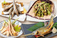 夏のはじまりは『庄や』から!! 鮎や夏野菜で彩る旬メニュー8品 全国86店舗で6月限定