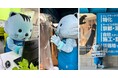 京都・滋賀の清掃会社「株式会社マイジョリティサービス」がB.LEAGUE・京都ハンナリーズと2026－27シーズンの『ゴールドスポンサー』契約を締結