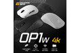 4Kポーリングレート対応のワイヤレスゲーミングマウス Endgame Gear「OP1w 4K」を5月1日発売