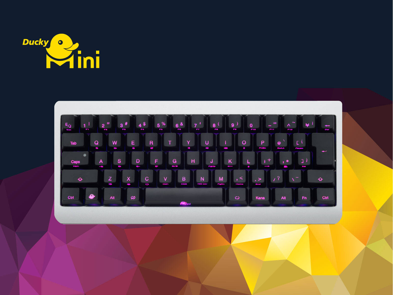 60 の大きさでフルキーボードの機能 メカニカルミニキーボードducky Mini 株式会社アーキサイトのプレスリリース 60 の大きさでフルキーボードの機能 メカニカルミニキーボードducky Mini 株式会社アーキサイトのプレスリリース