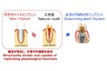 世界初の器官再生技術を未来の医療へ