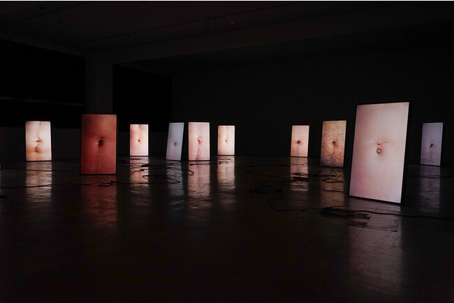 「Bellybutton and Breathing-お臍と呼吸」 参考写真