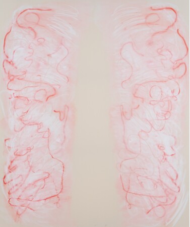 Soh Souen「Why do I have two hands，eyes，and nipples on my both sides？」（2023年） 1940×1620mm パステル、コットン