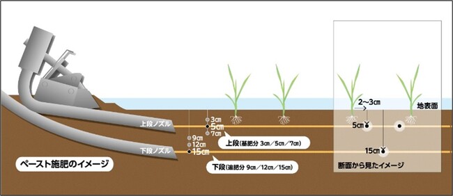 ペースト二段施肥のイメージ図