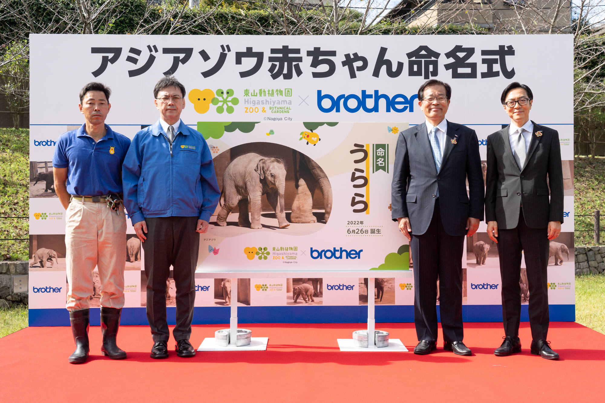 ブラザー 東山動植物園でアジアゾウの赤ちゃんの命名式を開催 ブラザー工業株式会社のプレスリリース