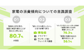 物価高で「買い物の失敗」を避けたい傾向が増加。試してから買いたい家電第1位は「掃除機」