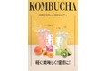 日本初！韓国発！『タブレッド状のコンブチャ』新発売