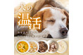 《POCHI》ぽかぽか温活セット(犬用)2種を数量限定販売