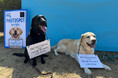 《POCHI》雑誌『RETRIEVER』のイベントに協賛