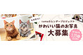 tamaのカレンダープロジェクト「とびきり、かわいい!」猫の写真大募集
