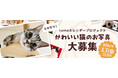 《tama》「とびきり、かわいい!」猫の写真大募集
