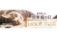 《tama》「世界猫の日」に合わせて、特別クーポンを発行