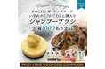《POCHI》持ち手が竹製の「シャンプーブラシ」を先着1,000名様にプレゼント