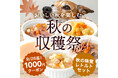 《POCHI》お得な「秋の味覚レトルトセット」を数量限定販売