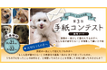 《POCHI》第3回 大切なうちの子(犬)への「手紙コンテスト」募集開始